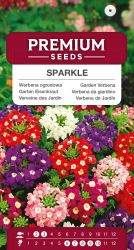 Verbena Sparkle Mixed Seeds